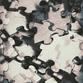 Jigsaws of double exposure